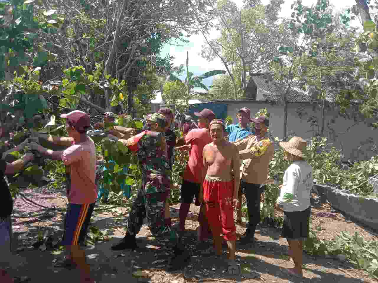 Compress_20220612_164904_4029.jpg