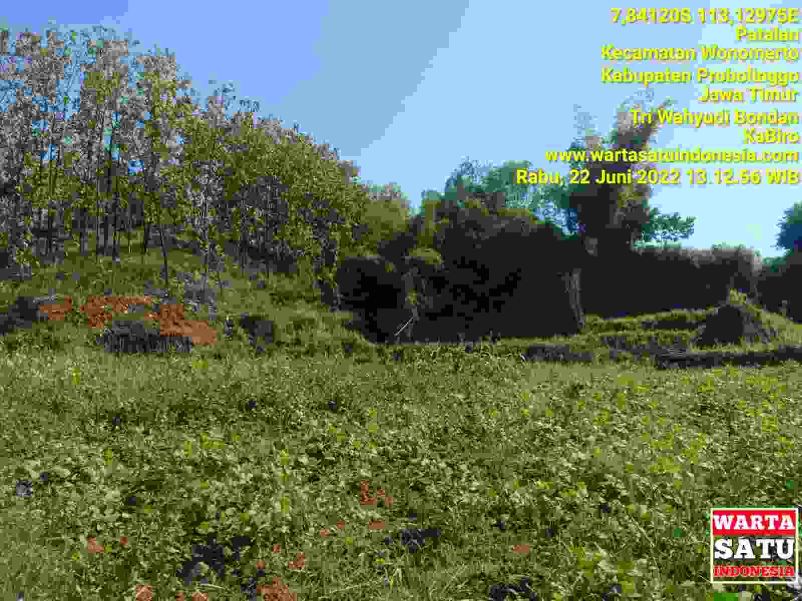 Compress_20220622_170907_7398.jpg