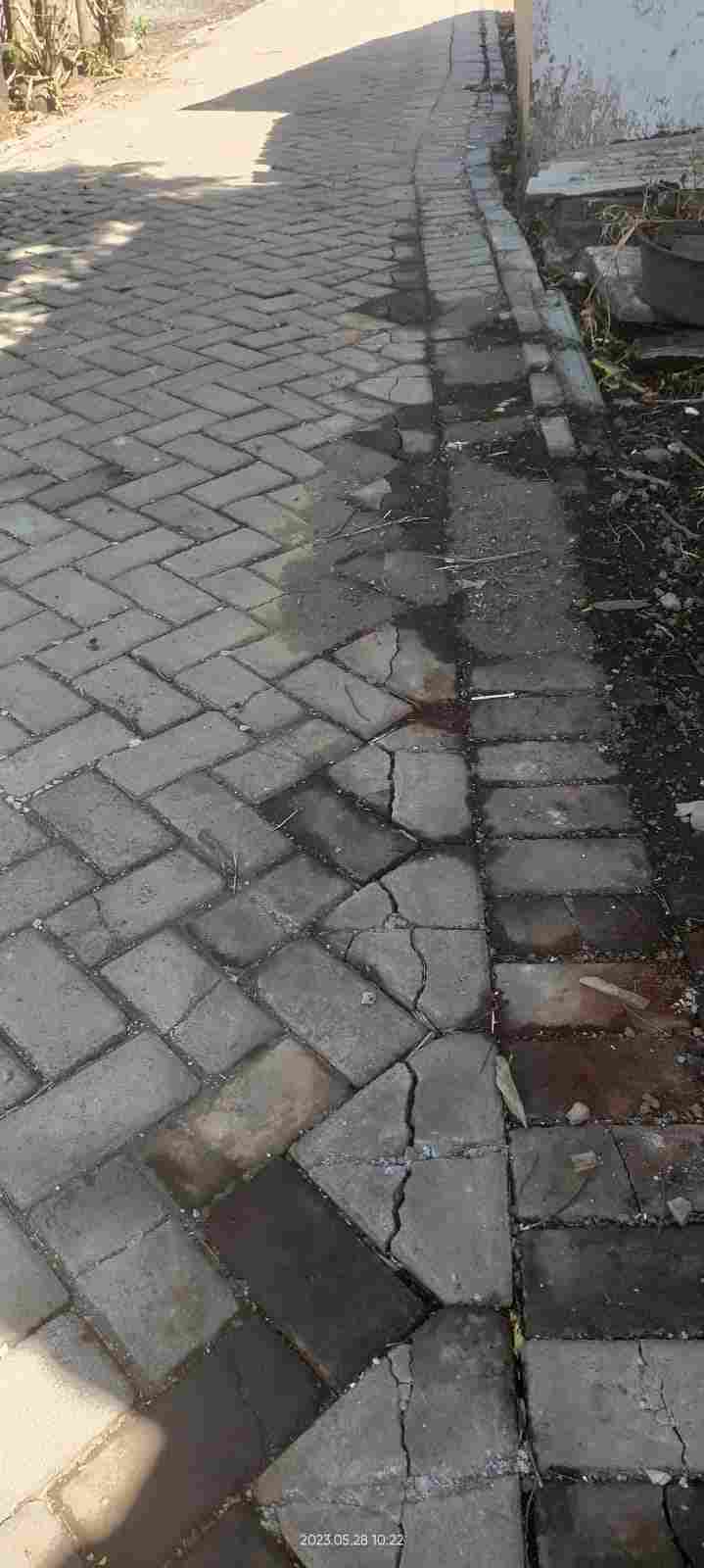 Compress_20230529_065417_7093.jpg